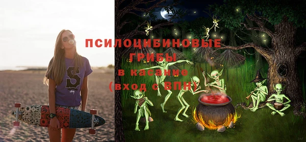 ешки Вязьма