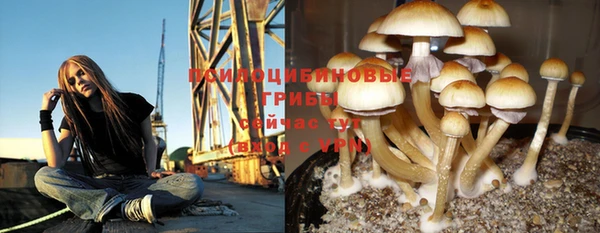 ешки Вязьма